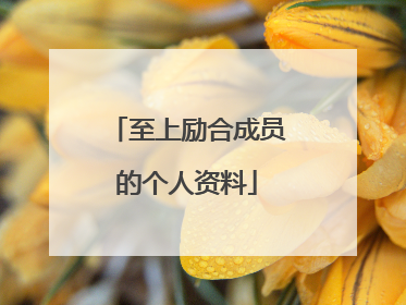 至上励合成员的个人资料