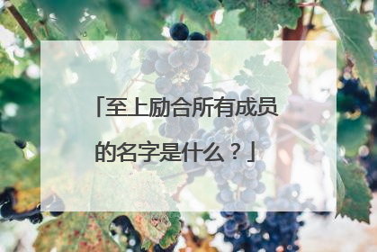 至上励合所有成员的名字是什么？