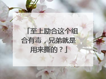 至上励合这个组合有毒,兄弟就是用来撕的?