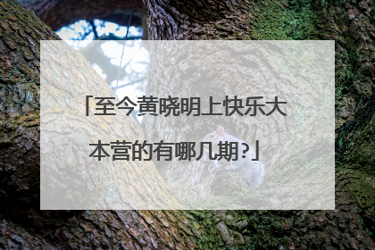 至今黄晓明上快乐大本营的有哪几期?