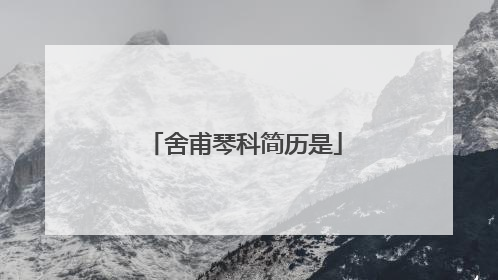 舍甫琴科简历是