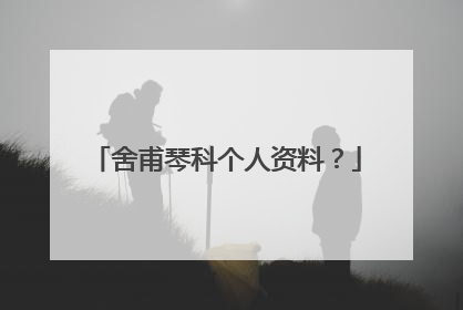 舍甫琴科个人资料？