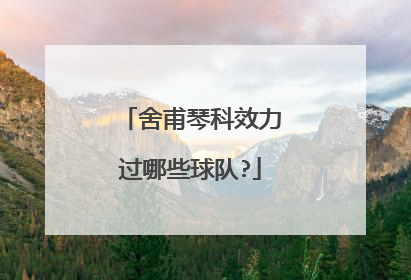 舍甫琴科效力过哪些球队?