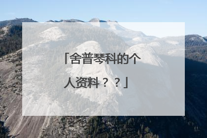 舍普琴科的个人资料？？