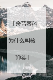 舍普琴科为什么叫核弹头