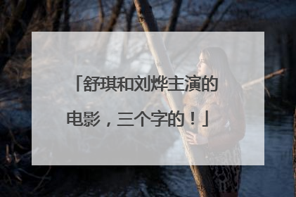 舒琪和刘烨主演的电影,三个字的!