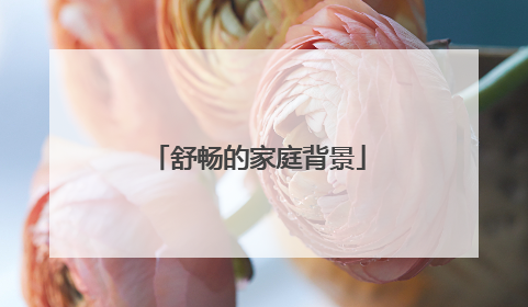 舒畅的家庭背景