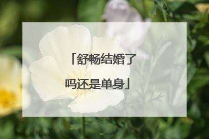 舒畅结婚了吗还是单身