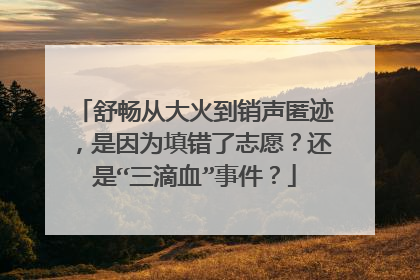 舒畅从大火到销声匿迹,是因为填错了志愿?还是“三滴血”事件?