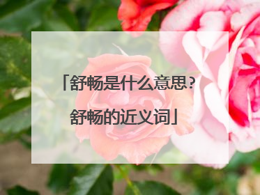 舒畅是什么意思? 舒畅的近义词