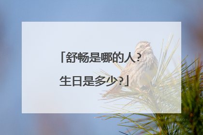 舒畅是哪的人?生日是多少?