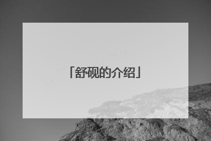 舒砚的介绍