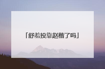 舒羞投靠赵楷了吗