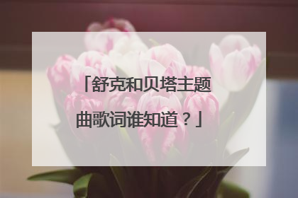 舒克和贝塔主题曲歌词谁知道？