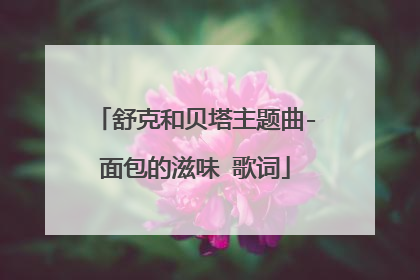 舒克和贝塔主题曲-面包的滋味 歌词