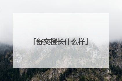 舒奕橙长什么样