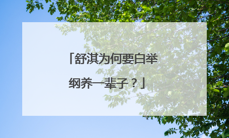 舒淇为何要白举纲养一辈子?