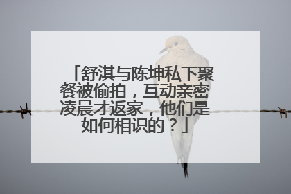 舒淇与陈坤私下聚餐被偷拍,互动亲密凌晨才返家,他们是如何相识的?