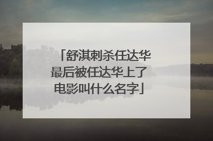 舒淇刺杀任达华最后被任达华上了电影叫什么名字