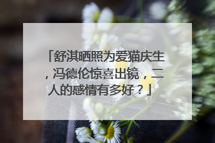 舒淇晒照为爱猫庆生，冯德伦惊喜出镜，二人的感情有多好？