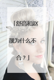 舒高和赵靓为什么不合?