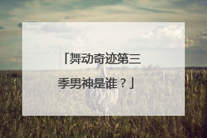 舞动奇迹第三季男神是谁?