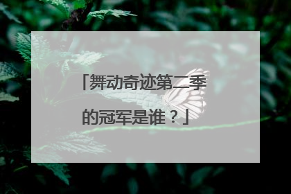 舞动奇迹第二季的冠军是谁?