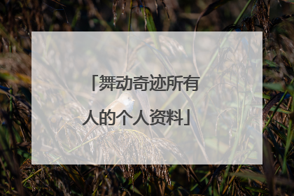 舞动奇迹所有人的个人资料