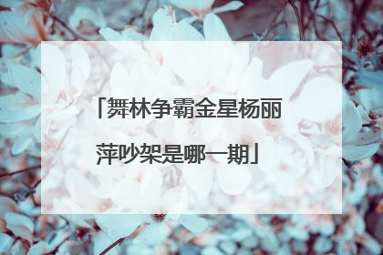 舞林争霸金星杨丽萍吵架是哪一期