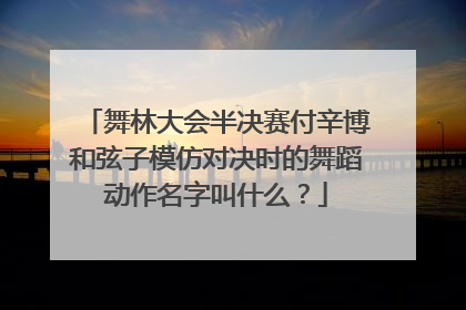 舞林大会半决赛付辛博和弦子模仿对决时的舞蹈动作名字叫什么?