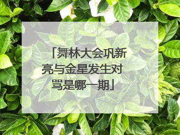 舞林大会巩新亮与金星发生对骂是哪一期