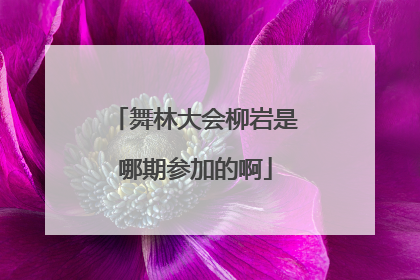 舞林大会柳岩是哪期参加的啊