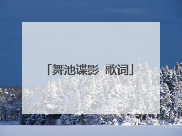 舞池谍影 歌词