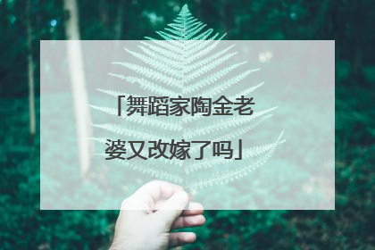 舞蹈家陶金老婆又改嫁了吗