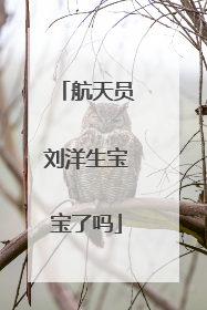 航天员刘洋生宝宝了吗