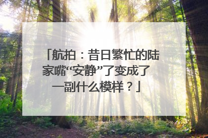 航拍:昔日繁忙的陆家嘴“安静”了变成了一副什么模样?