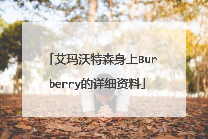 艾玛沃特森身上Burberry的详细资料