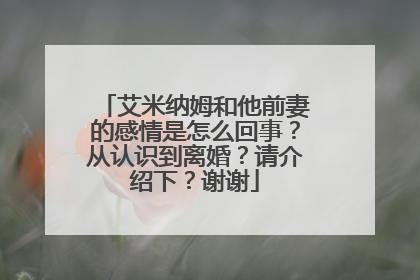 艾米纳姆和他前妻的感情是怎么回事?从认识到离婚?请介绍下?谢谢