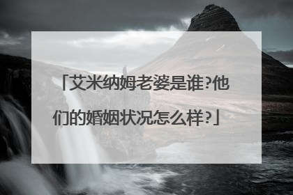 艾米纳姆老婆是谁?他们的婚姻状况怎么样?