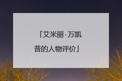 艾米丽·万凯普的人物评价