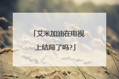 艾米加油在电视上结局了吗?