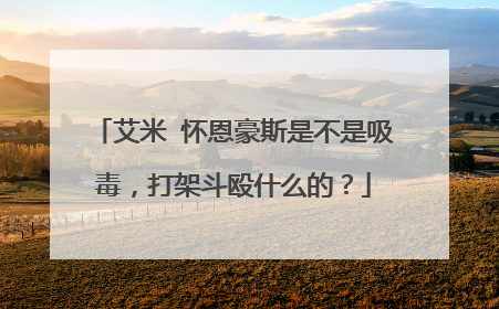 艾米 怀恩豪斯是不是吸毒，打架斗殴什么的？