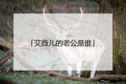 艾薇儿的老公是谁