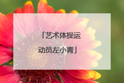 艺术体操运动员左小青