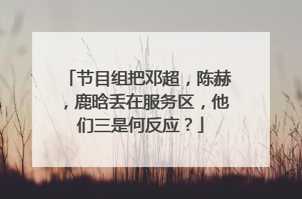 节目组把邓超，陈赫，鹿晗丢在服务区，他们三是何反应？