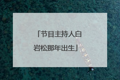节目主持人白岩松那年出生