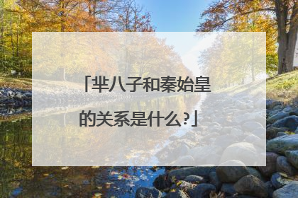 芈八子和秦始皇的关系是什么?