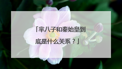 芈八子和秦始皇到底是什么关系?
