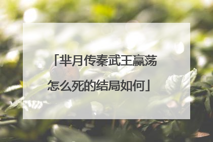 芈月传秦武王赢荡怎么死的结局如何