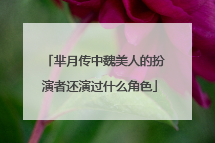 芈月传中魏美人的扮演者还演过什么角色